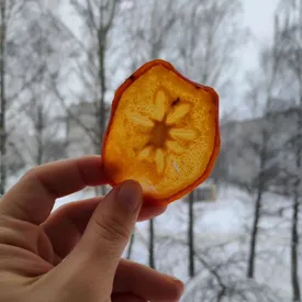 Фруктовые чипсы хурма, 50 гр.